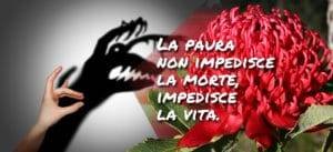 La paura le fobie le psicosi cosa sono e come affrontarle meglio con Fiori di Bach e Fiori Australiani, caratteristiche di tutti le essenze floreali utili