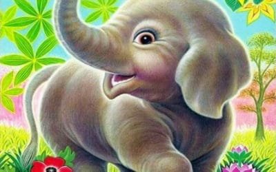 L’elefante incatenato e la floriterapia: il nesso c’è, anche se non si vede.