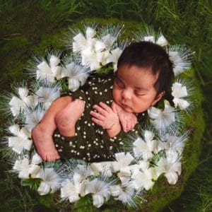 Boab è il fiore australiano che libera dai condizionamenti famigliari e dagli schemi negativi degli antenati - Consulenza Fiori Australiani a Torino